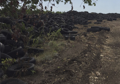 Scrap tires lined the road on the property near Gatesville prior to the multi-agency cleanup effort.