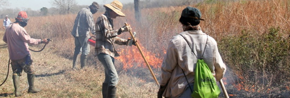 Staff and contractors perform prescribed burns at the center.