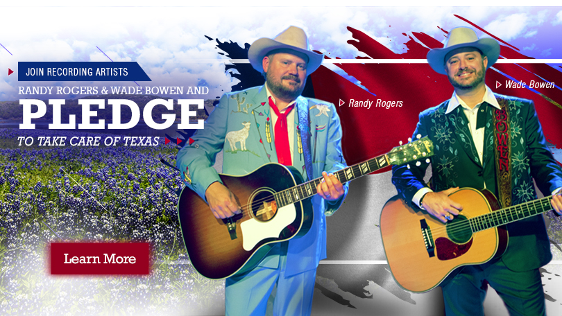 TCOT Randy/Wade Campaign