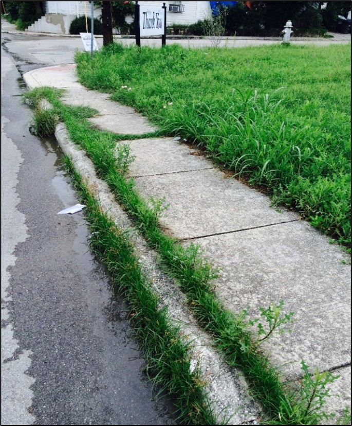 Empty lot on Montana Street