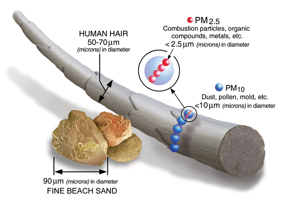 Shows how much smaller pm2.5 is than human hair or sand