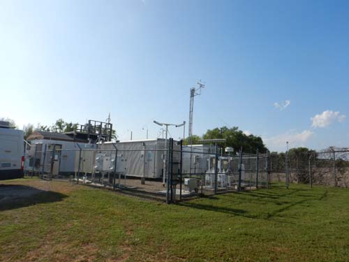 Dallas Hinton Site Picture