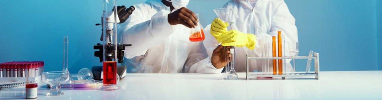 lab