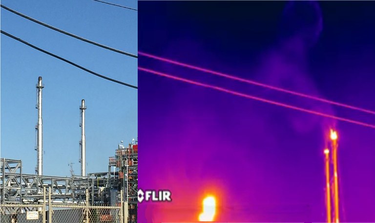 ogic2.jpg