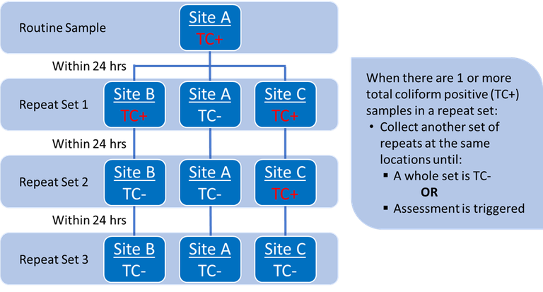 RTCR-Repeats