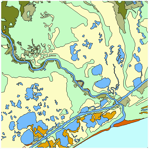 Brazos-Colorado Coastal Watershed: 30-Meter Land Use Land Cover