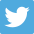 Icons: Twitter Icon TCOT Section