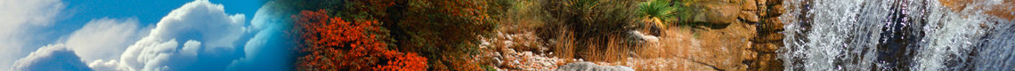 Icons: Header Bottom (Banner)