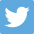 Icons: Twitter Button