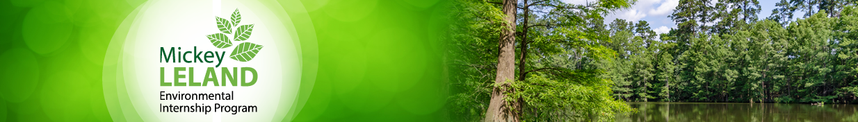 MLEIP Web Hero_5.23 (1).png