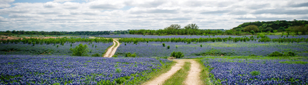 image depicting connect with us