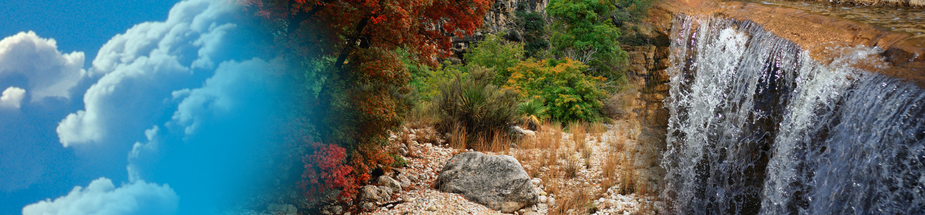 header-background-art.jpg