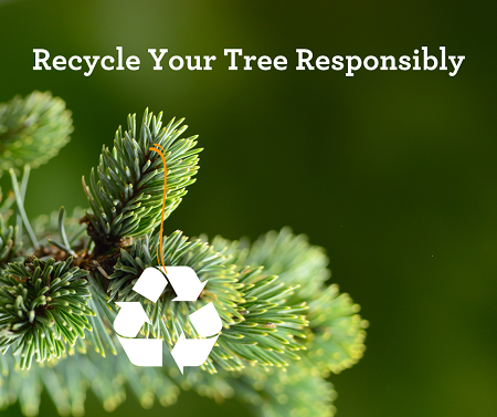 TCOT tree rec