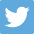 Icons: Twitter Icon for New Release Section