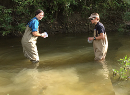 Water Quality in Rivers, Lakes and Estuaries