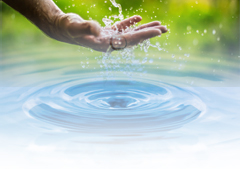 Water: Water Conservation Tips (duplicate image - png file)