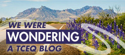 TCEQ Blog logo, Bluebonnets and Mountains