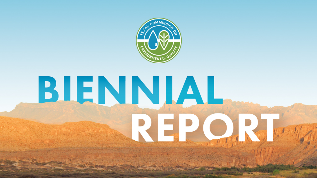 20221206:Icon Biennial Report