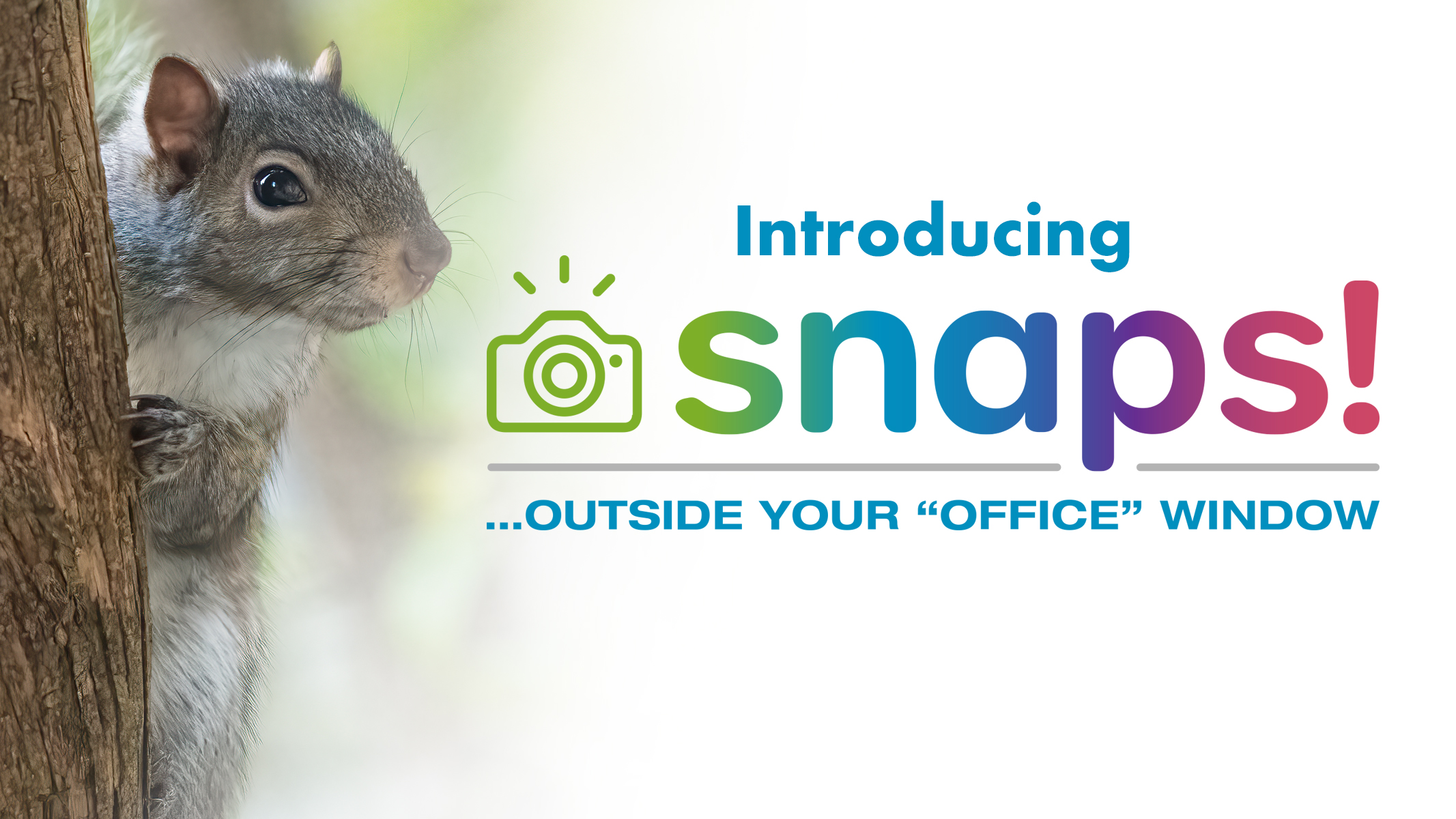 20230606: Snaps