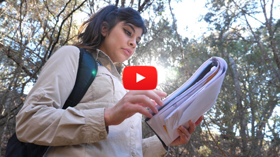 A TCEQ employee viewing documents in the field