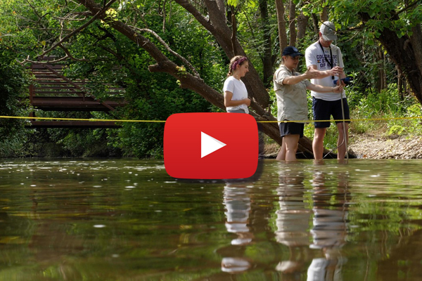 A screenshot of a YouTube video of interns and a TCEQ employee examining Brushy Creek