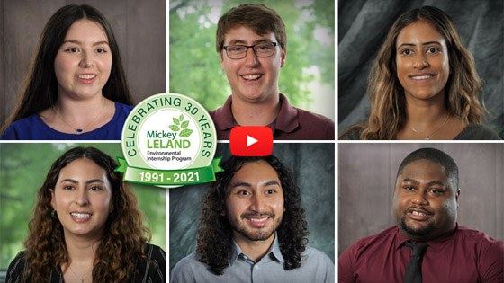 TCEQ Celebrates National Intern Day A collage of six TCEQ interns.