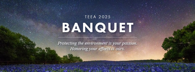 2024 TEEA