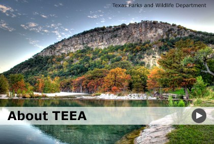 Texas Environmental Excellence Awards: About TEEA