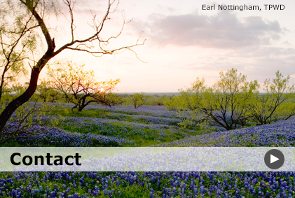 Texas Environmental Excellence Awards: Contact Us