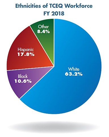 Pie chart: Ethnicities of TCEQ Workforce, FY 2018. White 63.2%, Black 10.6%, Hispanic 17.8%, and Other 8.4%.
