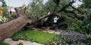 Hurricane Beryl Aftermath