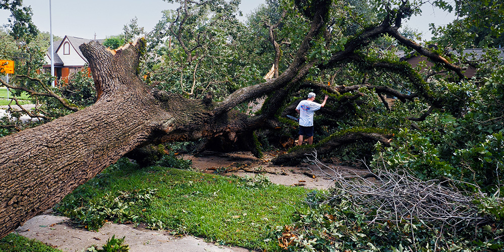 Hurricane Beryl Aftermath