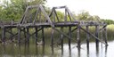 Restoration at Tres Palacios Creek Tidal at Carl Park.