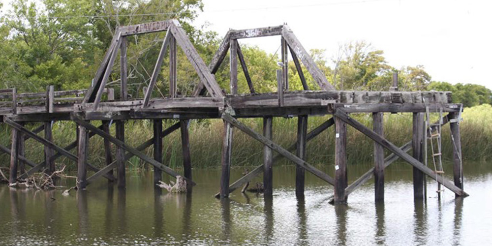 Restoration at Tres Palacios Creek Tidal at Carl Park.