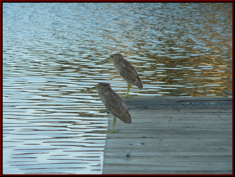 Watershed Action Plan page photo