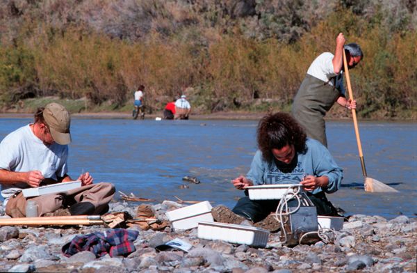 People sitting on bank of river sorting through benthic samples.