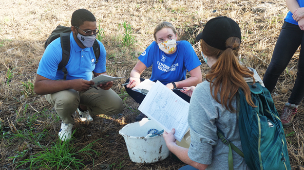 gbep-intern-targeted-bacteria