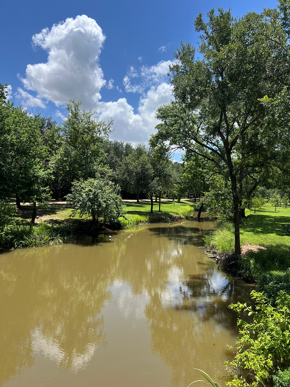 Bessie's Creek at SWQM Station 22499