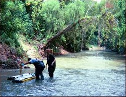 Buffalo Bayou photo BIG