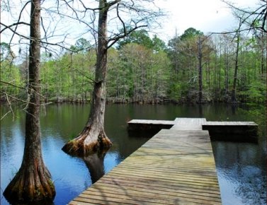 Lake Houston Wilderness Park