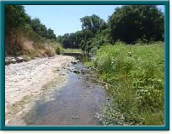 North Bosque River Work Group photo 06