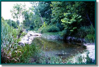 North Bosque River photo 06