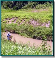 Clear Creek Above Tidal photo 08