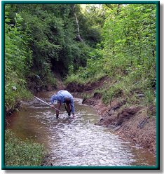 photo of clear creek above tidal