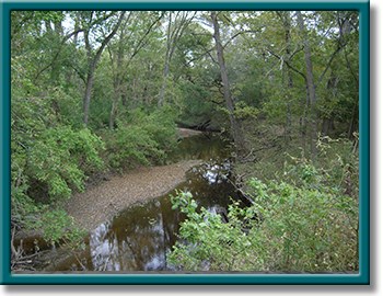 Rocky Creek photo 108