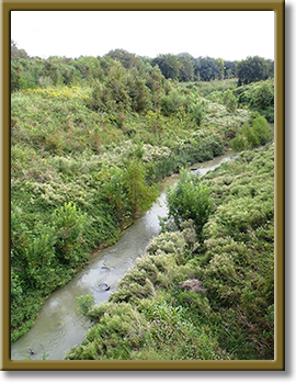 Tres Palacios Creek photo of tres palacios creek