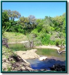 Salado Creek photo 11