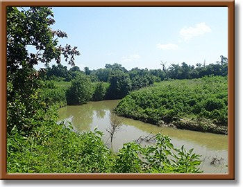 Chocolate Bayou photo 114