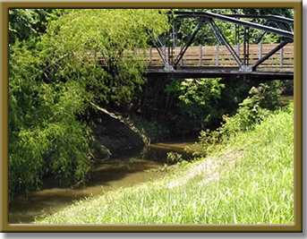 Mustang Bayou photo 114 photo of Mustang Bayou