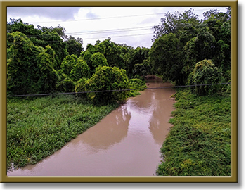 photo of oyster creek